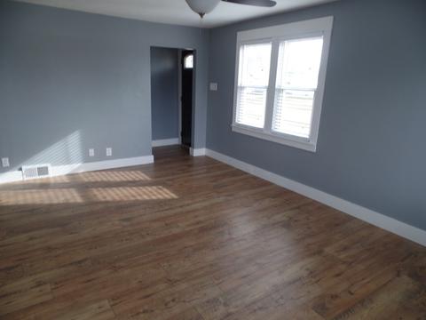 232 S Brush Ave, Ladd, IL 61329 photo 4