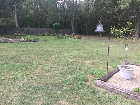 23330 State St, Steger, IL 60475 photo 65