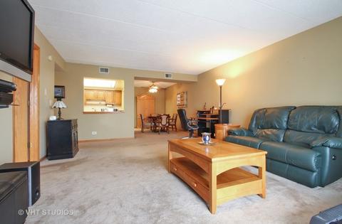 545 S River Rd #306, Des Plaines, IL 60016 photo 4