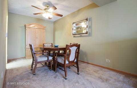 545 S River Rd #306, Des Plaines, IL 60016 photo 6