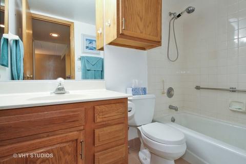 545 S River Rd #306, Des Plaines, IL 60016 photo 8