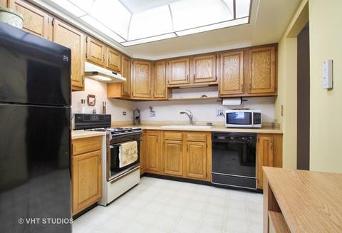 545 S River Rd #306, Des Plaines, IL 60016 photo 5