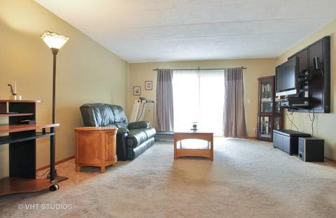 545 S River Rd #306, Des Plaines, IL 60016 photo 3