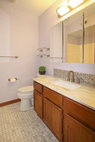 1635 Pebble Beach Dr, Hoffman Estates, IL 60169 photo 10