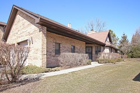 1635 Pebble Beach Dr, Hoffman Estates, IL 60169 photo 16