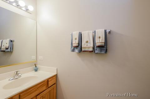 239 Hearthstone Dr, Bartlett, IL 60103 photo 19