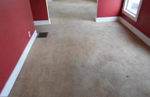 736 Glidden Ave, Dekalb, IL 60115 photo 9