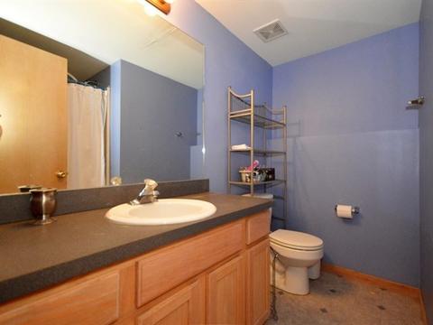 26427 W Fox Trl, Channahon, IL 60410 photo 15