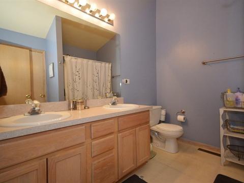 26427 W Fox Trl, Channahon, IL 60410 photo 13
