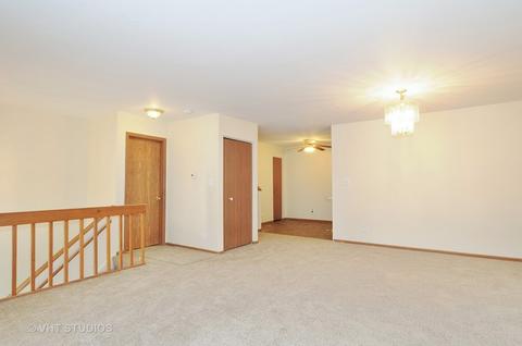 441 Park Ridge Ln #E, Aurora, IL 60504 photo 3