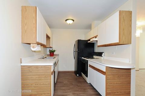 441 Park Ridge Ln #E, Aurora, IL 60504 photo 4
