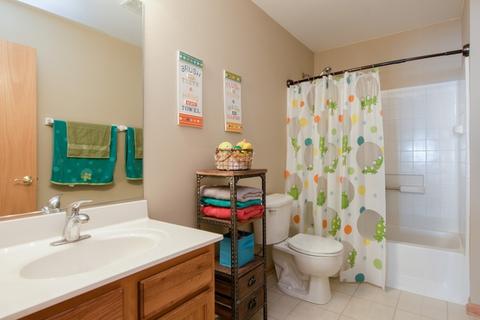 1684 Seaton Ln, Elgin, IL 60123 photo 19