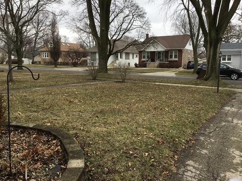 214 N Morgan Ave, Wheaton, IL 60187 photo 19