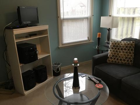 214 N Morgan Ave, Wheaton, IL 60187 photo 11