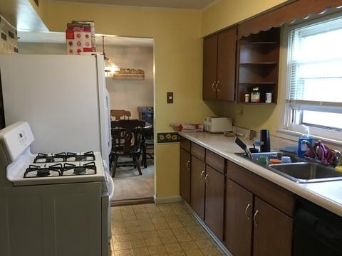 214 N Morgan Ave, Wheaton, IL 60187 photo 7
