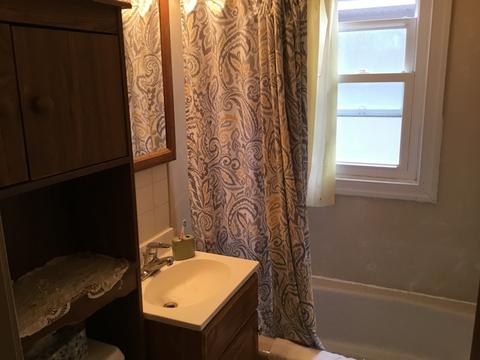 214 N Morgan Ave, Wheaton, IL 60187 photo 14