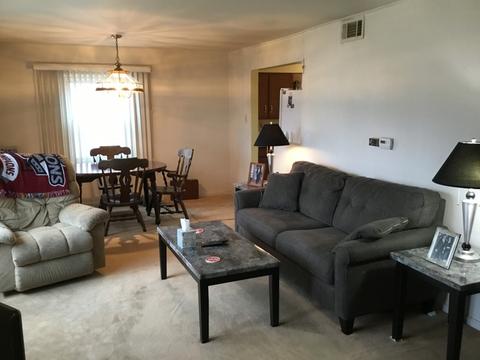 214 N Morgan Ave, Wheaton, IL 60187 photo 3