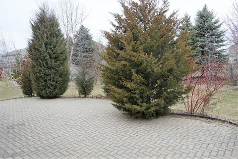 2110 Broadsmore Dr, Algonquin, IL 60102 photo 19