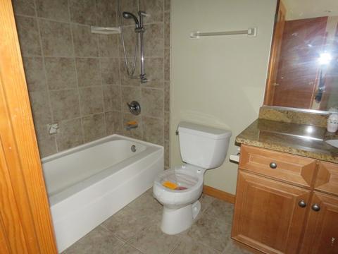 985 Reading Dr, Bartlett, IL 60103 photo 9