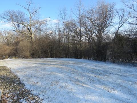 985 Reading Dr, Bartlett, IL 60103 photo 5