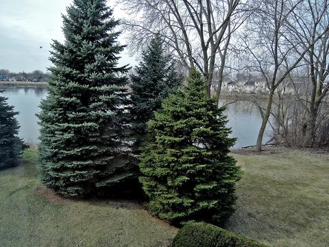 1548 Foxcroft Dr, Aurora, IL 60506 photo 14