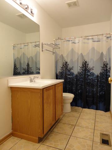 14430 Independence Dr, Plainfield, IL 60544 photo 33
