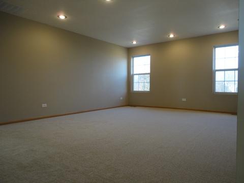 14430 Independence Dr, Plainfield, IL 60544 photo 20