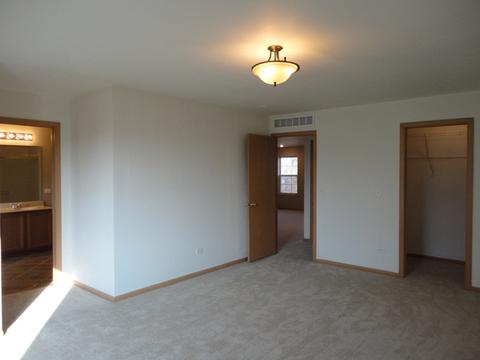 14430 Independence Dr, Plainfield, IL 60544 photo 23