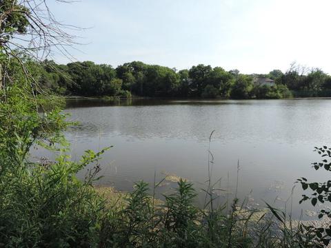 1117 Sumac Ct, Bartlett, IL 60103 photo 30
