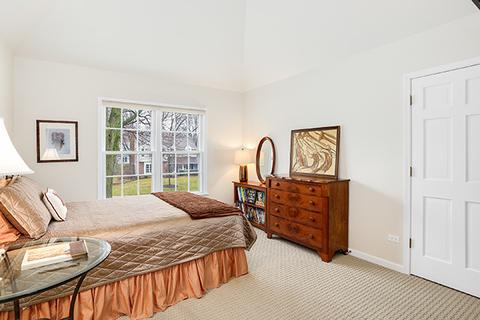 411 E Bauer Rd, Naperville, IL 60563 photo 31
