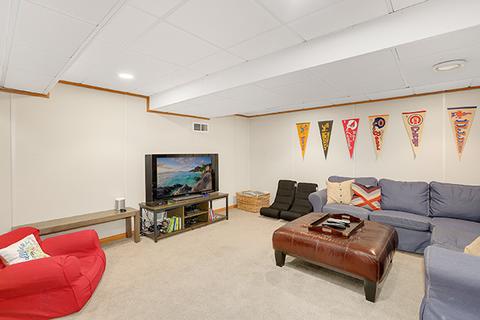 411 E Bauer Rd, Naperville, IL 60563 photo 36