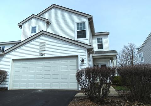 7001 Clearwater Dr, Plainfield, IL 60586 photo 1