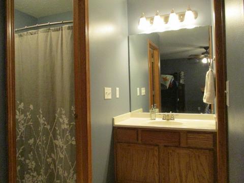 441 Hickory Ln, Davis Junction, IL 61020 photo 19