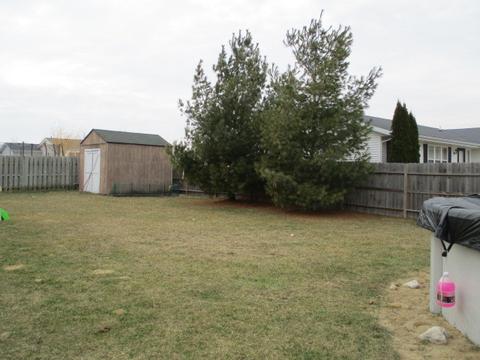 441 Hickory Ln, Davis Junction, IL 61020 photo 8