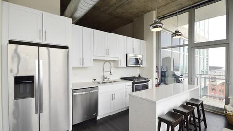 50 E 16th St #1309, Chicago, IL 60616 photo 3