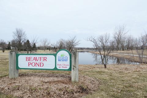 965 W Stearns Rd, Bartlett, IL 60103 photo 33