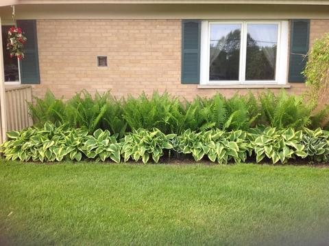 965 W Stearns Rd, Bartlett, IL 60103 photo 39