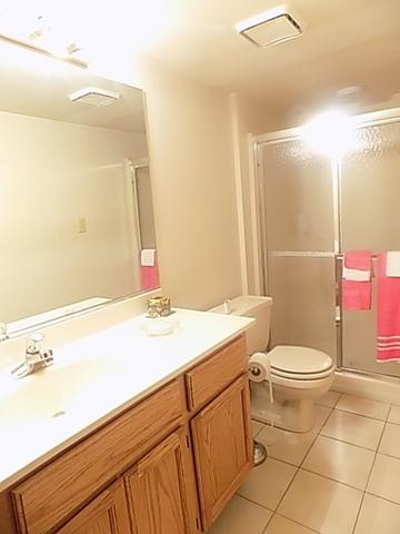 19275 Maple St, Lansing, IL 60438 photo 20