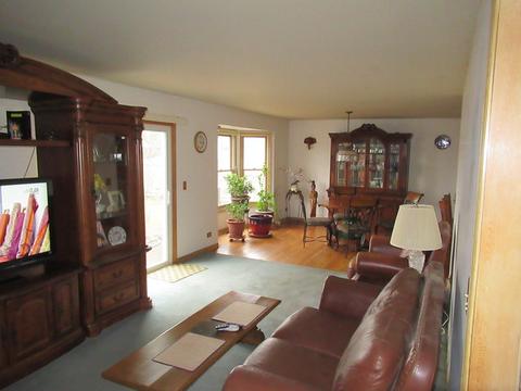 983 Hyacynth Ln, Bartlett, IL 60103 photo 8
