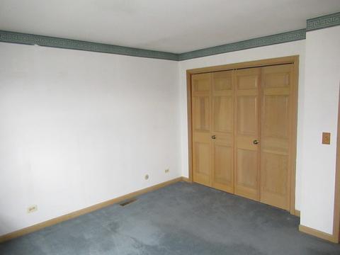 983 Hyacynth Ln, Bartlett, IL 60103 photo 22