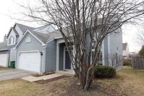 28 E Rustic Ln, Round Lake Beach, IL 60073 photo 1
