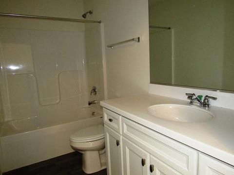 706 Feeney Dr, Minooka, IL 60447 photo 23