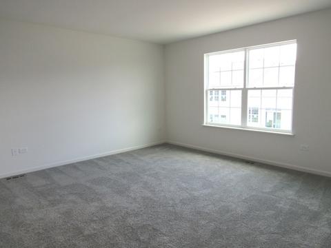 706 Feeney Dr, Minooka, IL 60447 photo 24