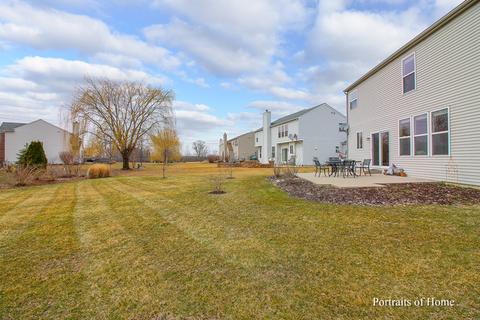 25015 Blue Iris Ct S, Plainfield, IL 60585 photo 24