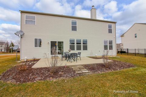25015 Blue Iris Ct S, Plainfield, IL 60585 photo 23