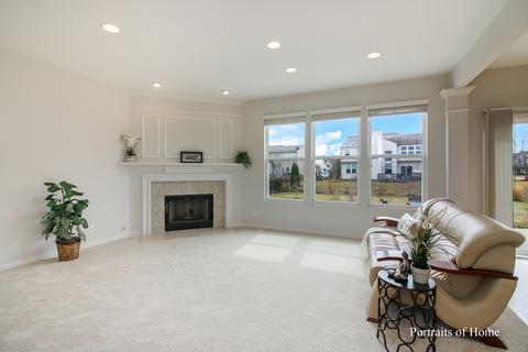 25015 Blue Iris Ct S, Plainfield, IL 60585 photo 3