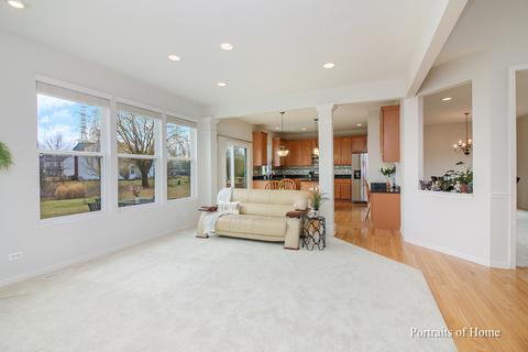 25015 Blue Iris Ct S, Plainfield, IL 60585 photo 4