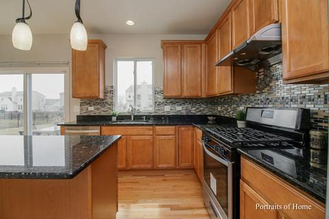 25015 Blue Iris Ct S, Plainfield, IL 60585 photo 12