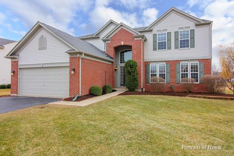 25015 Blue Iris Ct S, Plainfield, IL 60585 photo 1