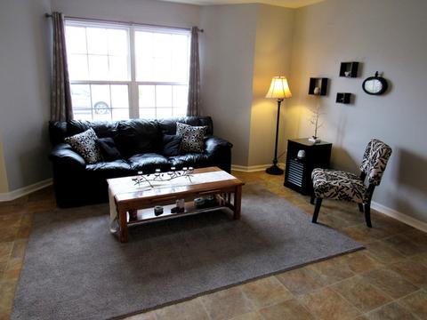 25842 S Geranium Ln, Monee, IL 60449 photo 5